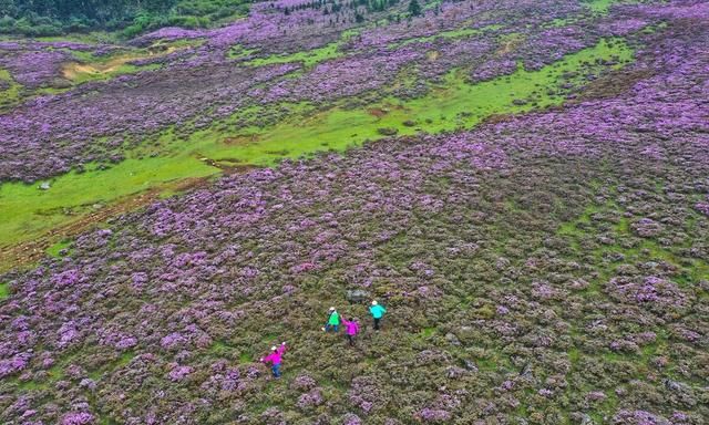 5月去哪儿玩？国内7个游玩好去处，风景超美