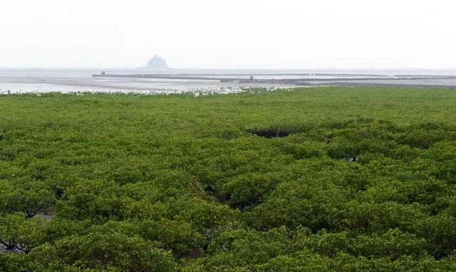 送您一份湄洲岛旅游攻略，抓住暑期尾巴赶紧去"浪"一把吧…