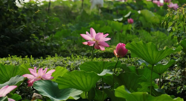 遇间旅游 | 贵阳必去的六大景点！半城山水半城烟火，你都去过吗？