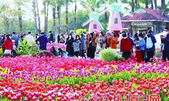 春节期间厦门文旅市场红火，位居国内游目的地榜单前十