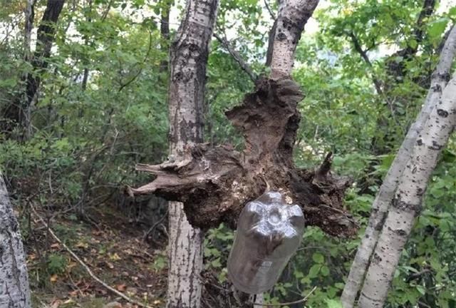 去过丹东凤凰山吗？二千年前曾是一个国的山城唐朝时被灭