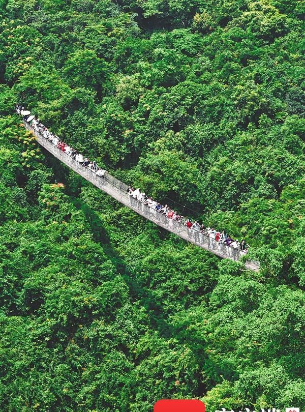 以“桥”的方式打开海南：风景在桥上