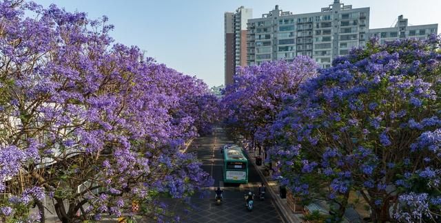 中国最值得去的10座夏季康养城市，空调用不到，小住几日很舒服