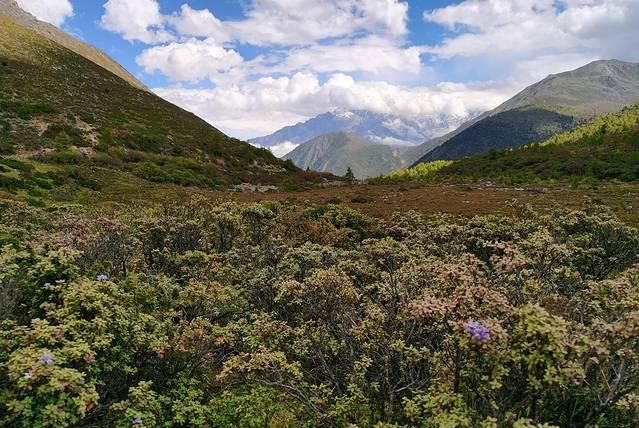 以“康定情歌风景区”自傲的木格措