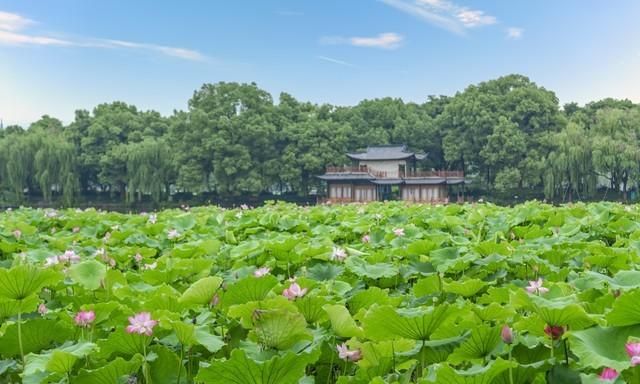 著名的“西湖十景”，你见过几个？