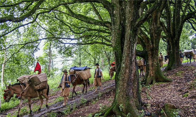 云南旅游5大线路，自驾去梅里雪山、普者黑、西双版纳，地图攻略