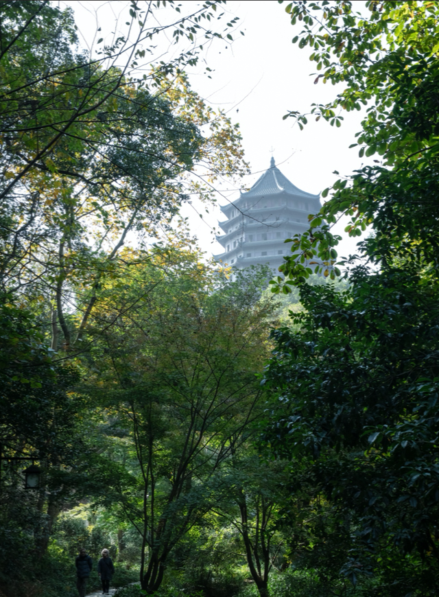 在杭州，一家仅有8间房的神秘酒店价格20000，米其林星级大厨坐镇