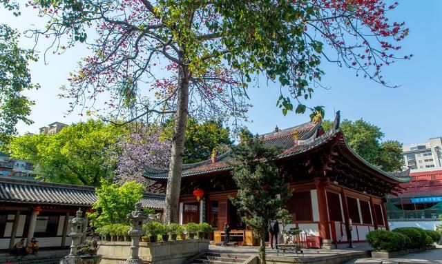 值得收藏的广州十大旅游景点，羊城美景推荐，你去过几个？