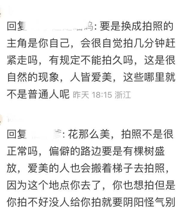 2天10万人涌入，树都不够用！上海顾村公园樱花树几乎都被占领拍照，网友热议