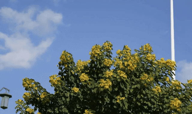 莆田深秋不止有灿烂的黄，这几处五彩斑斓带你体验不经意间的美好