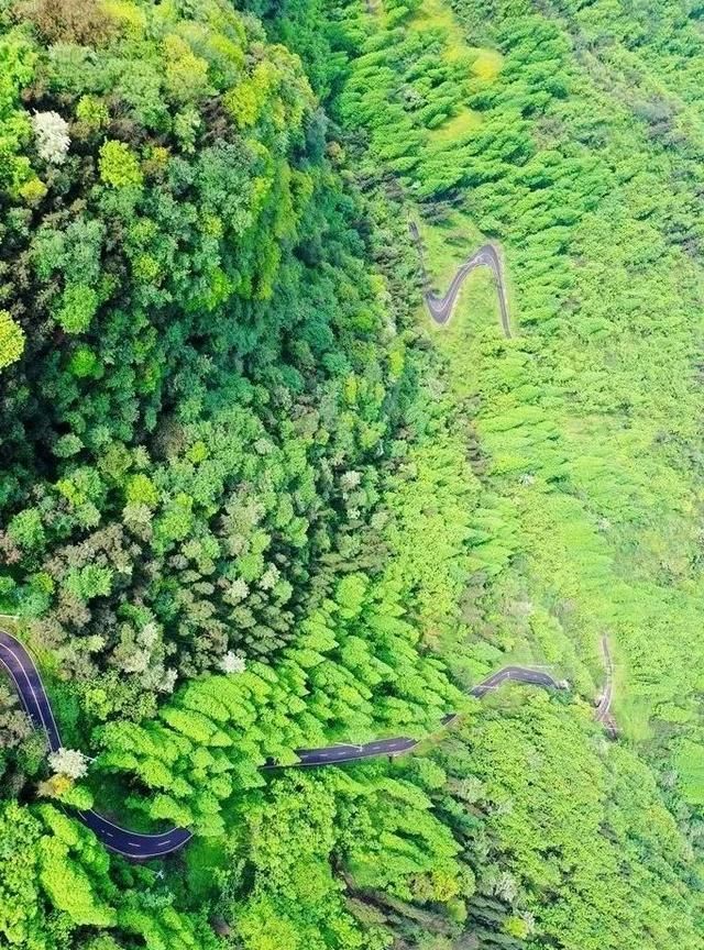 青城山，不止寻幽问道！好吃好喝、好耍好住，初秋游玩攻略来咯~