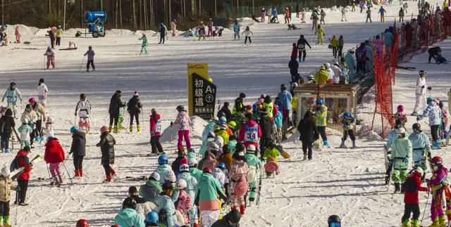 雪道长滑得爽 神农架中和滑雪场旅游收入创历史新高