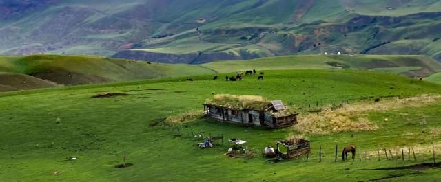 新疆旅游｜夏季必玩景点：独库、夏塔、琼库什台、那拉提、唐布拉