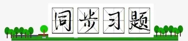 「知识点+习题」部编版三年级上册第二单元