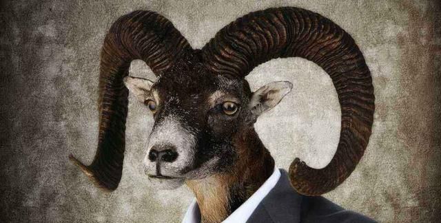 “替罪羊”这个词，为什么是羊而不是别的动物？看完涨知识