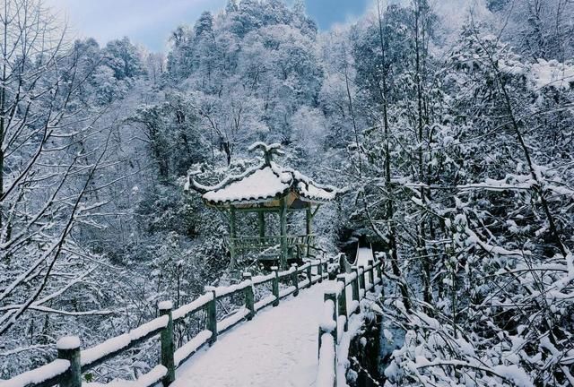 大年初二，乐山这些宝藏景区等你来！