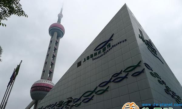 动物星球·全国动物园推介——上海海洋水族馆！