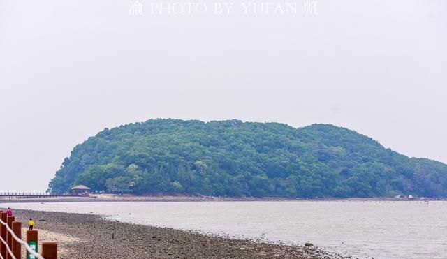 海陵岛不只有碧海银沙，还有美丽的红树林湿地，可欣赏有趣的赶海