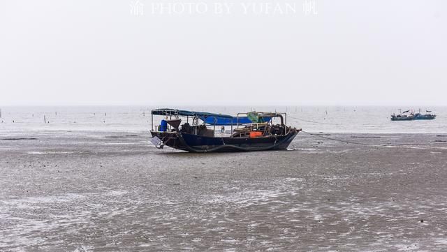 海陵岛不只有碧海银沙，还有美丽的红树林湿地，可欣赏有趣的赶海