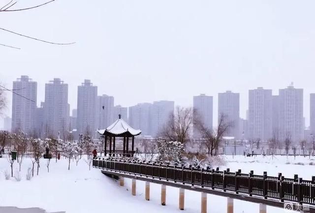 散文：古都咸阳迎来第一场雪