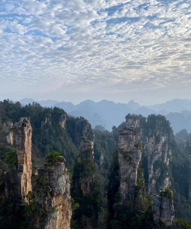 张家界三天两晚旅游攻略张家界5天4晚要多少钱