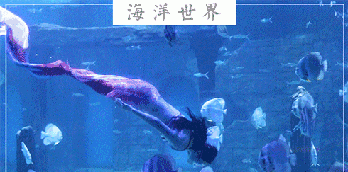 北京老牌水族馆富国海底世界，49.9元1大1小探险蓝色海洋的秘密