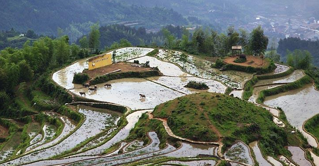 浙江丽水市十大景点有哪些？自驾游玩怎么安排行程路线？