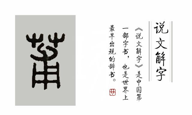 《说文解字》第38课：树上结的果实叫“果”，藤上结的叫什么呢？