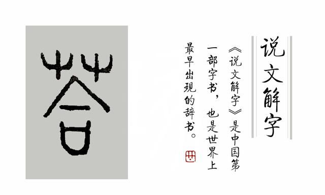 《说文解字》第38课：树上结的果实叫“果”，藤上结的叫什么呢？