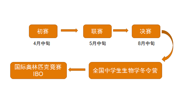 科普｜高一高二解惑，生物奥赛都考什么，竞赛流程如何？