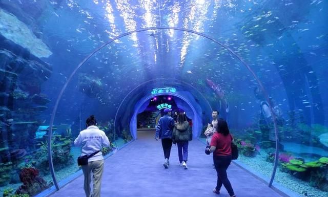 上海海昌海洋公园好玩吗？最接地气评测来了！