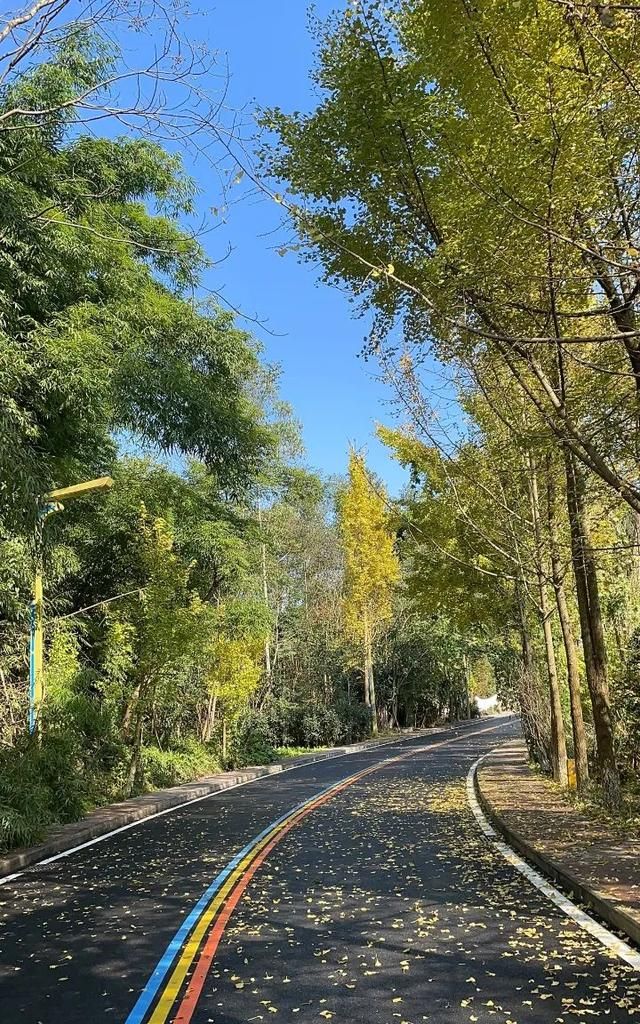 一径抱幽山，一步一美景 | 走，赴一场来自罗浮山的冬日邀约！