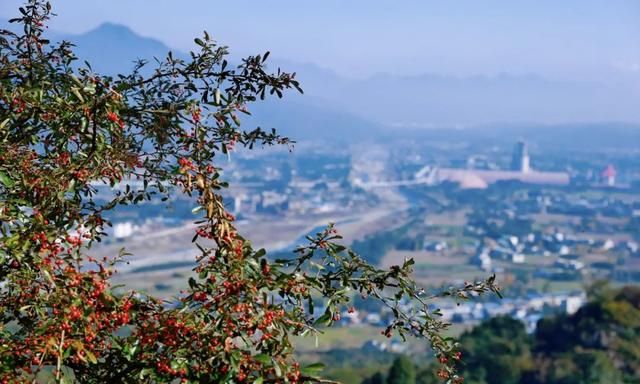 一径抱幽山，一步一美景 | 走，赴一场来自罗浮山的冬日邀约！