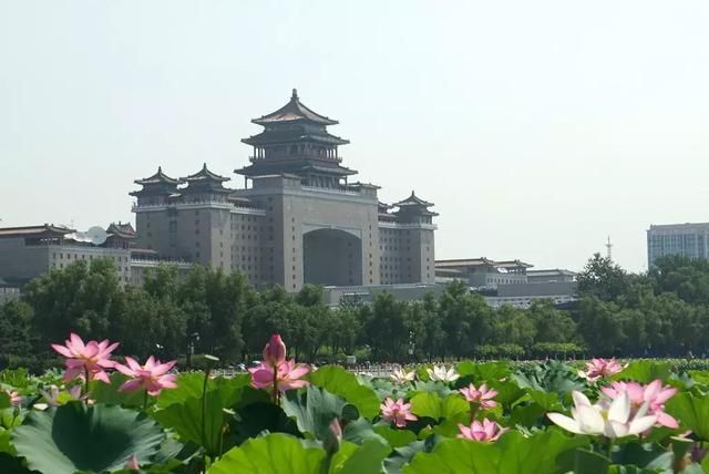 免费！北京15个适合周末游的景点！不想走远的朋友快收藏！