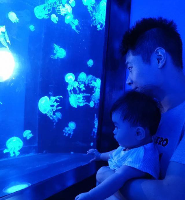 周末南京海底世界果然不能去，为了孩子能看一眼水母，一切都值