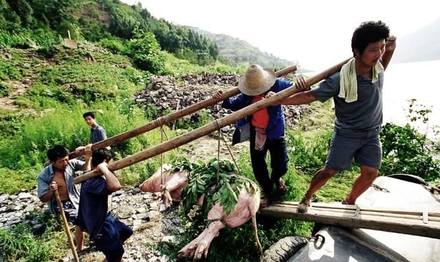 摄影师记录三峡移民27年：老汉带桃树永别故乡，整条船移民哭一片