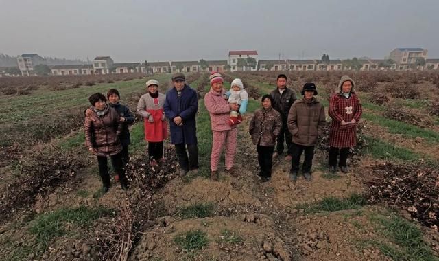 摄影师记录三峡移民27年：老汉带桃树永别故乡，整条船移民哭一片