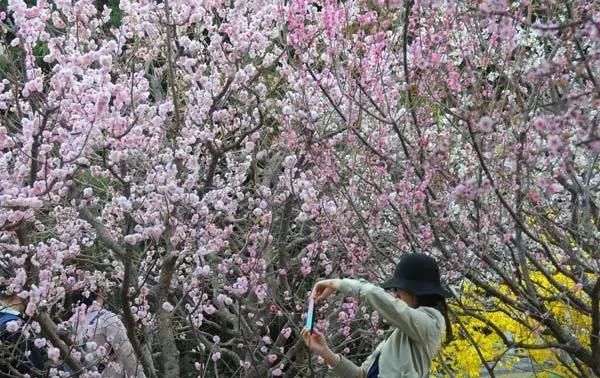 北京人最爱逛的8个公园，这个春天再去一次！