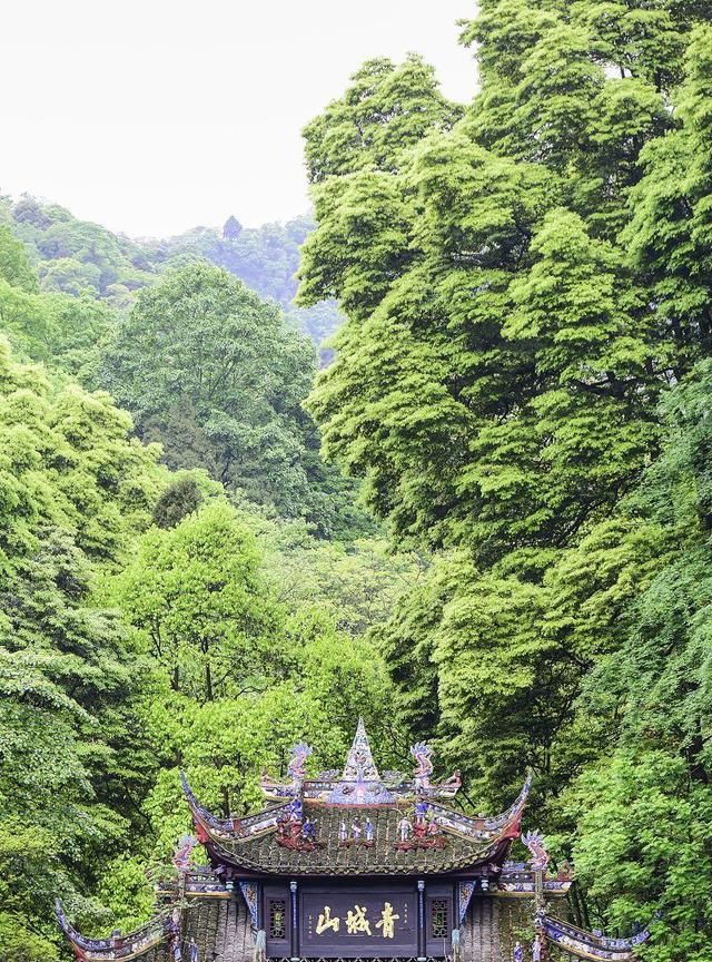 四川成都7日游报团纯玩行程，四川成都七天6晚路线及费用