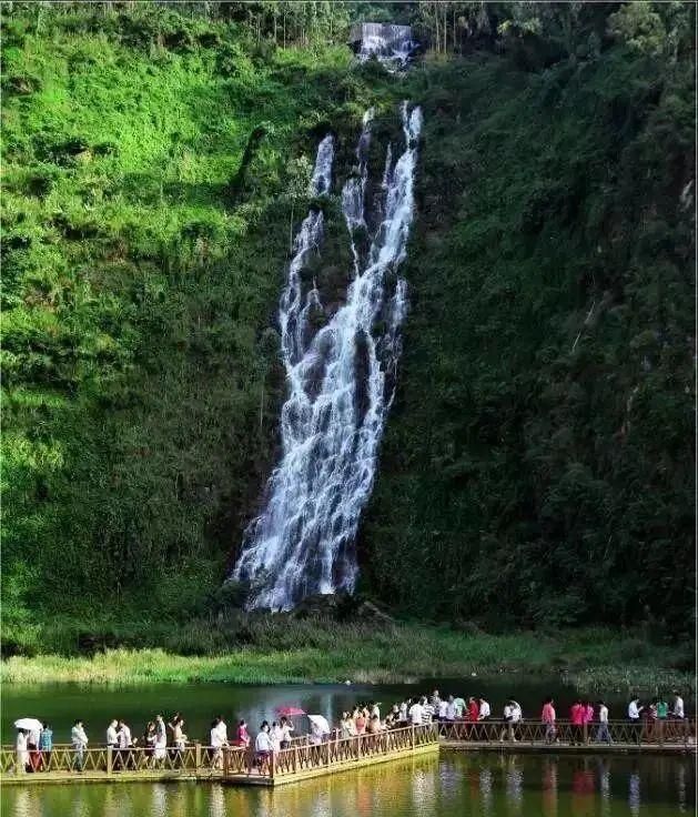 广州出发-东莞1天游，打卡松山湖黄花风铃木+水濂山森林公园