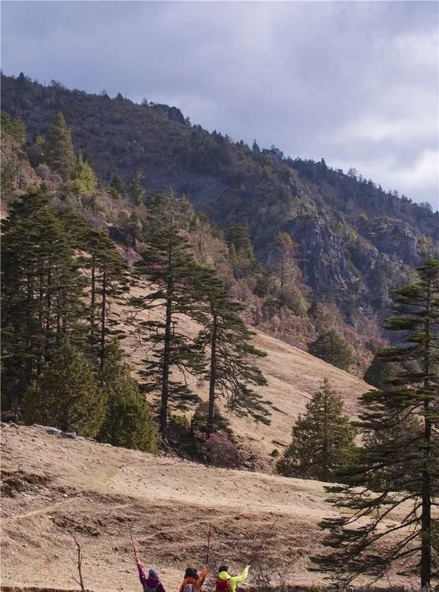 夏游云南 | 来一场不留遗憾的毕业旅行吧，目的地，丽江！