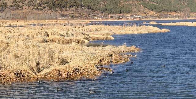 川滇交界的宝藏地—泸沽湖，值得一游吗?实用环岛游攻略—行程篇