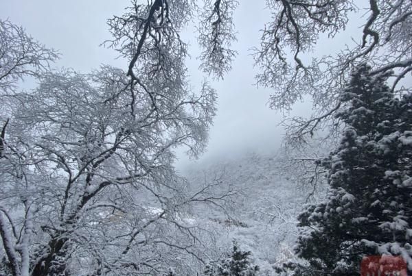 最低40元！四川多景区淡季票价来啦