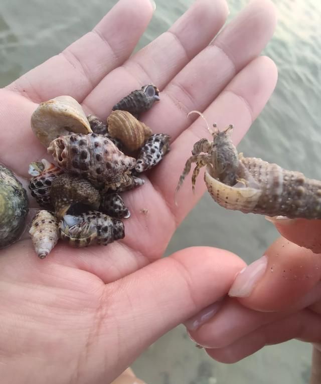 北海涠洲岛哪个季节去比较好玩,北海涠洲岛季节图19