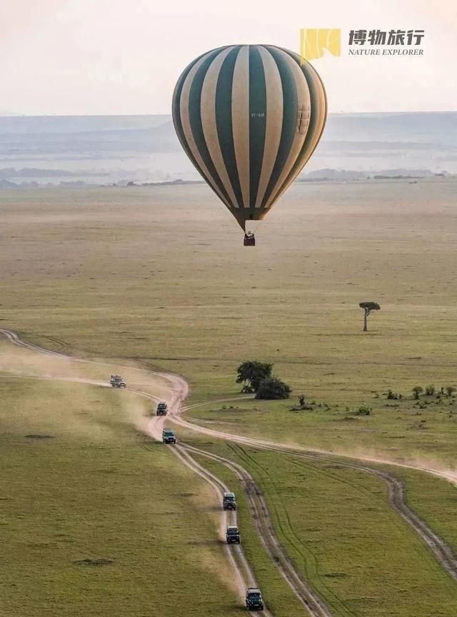 招募 | 终于等来，博物旅行重返肯尼亚！