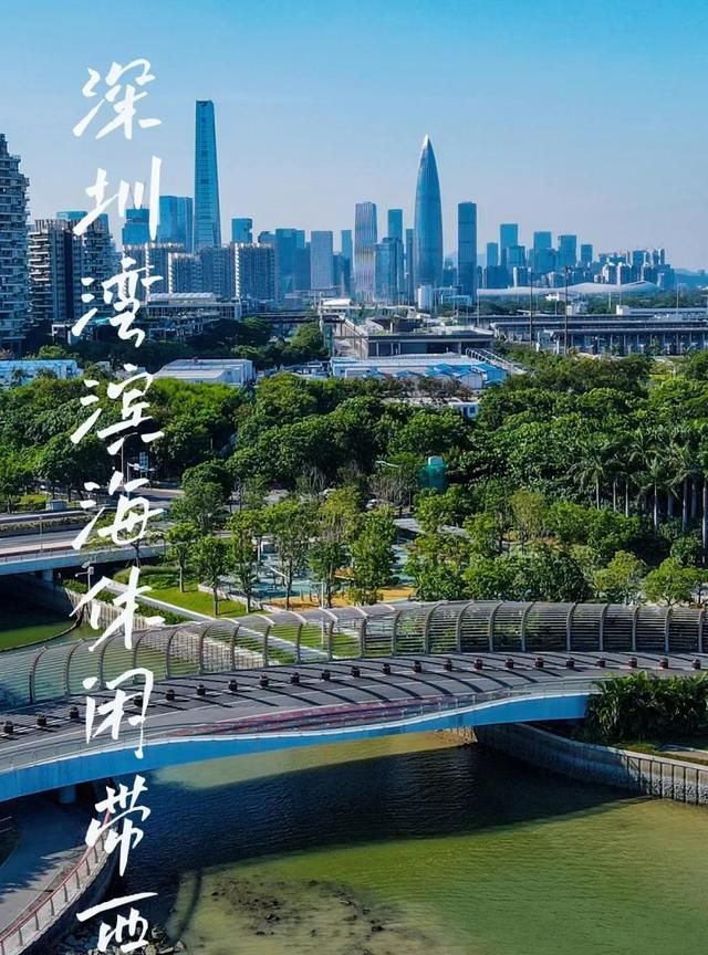 无敌海天美景！深圳湾高颜值“网红绿道”打卡攻略↓