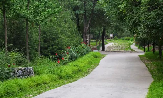 绿荫浓浓、山花遍野…北京这个公园已成绝佳游玩赏景圣地，门票只要6块钱！