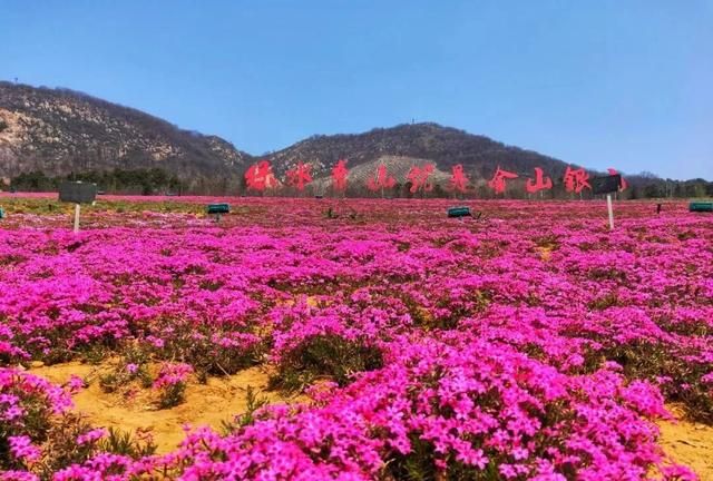 50个免费景点，不花钱就能玩转大连