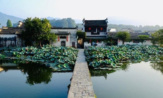 金华必去十大旅游景点推荐，金华周边游好去处，你去过几个？