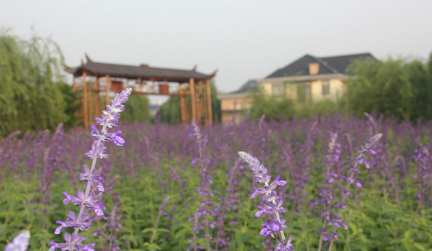 度假游长沙，千龙湖带你体验清凉多彩夏日！